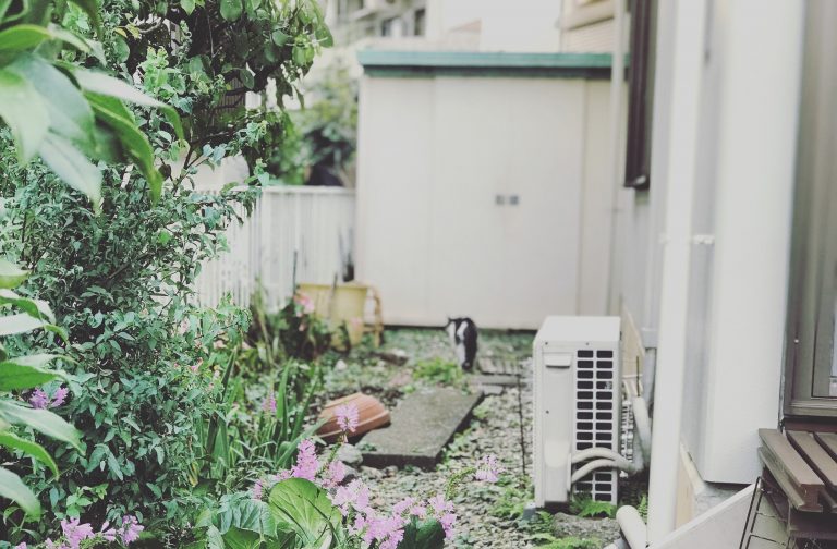 A narrow unkempt side yard