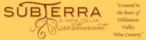 subTerra logo