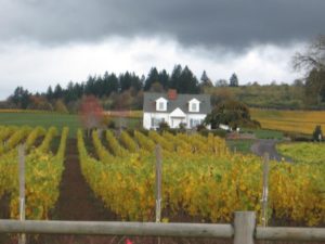 Dayton House Vineyard