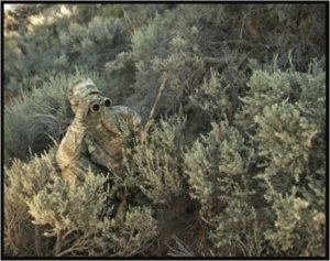 Sniper in the bushes